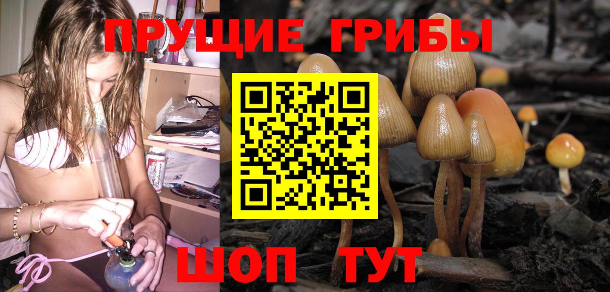 Галлюциногенные грибы Psilocybine cubensis Баксан
