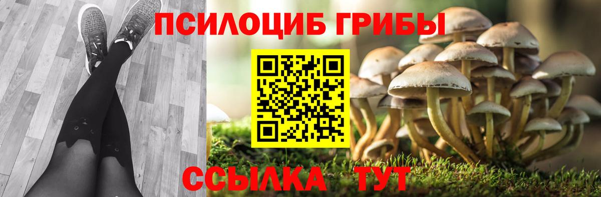 Галлюциногенные грибы GOLDEN TEACHER  Вход с VPN  цены наркотик  Баксан  Галлюциногенные грибы Cubensis 